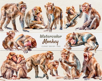 Watercolor Monkey Clipart - Digital Illustration Macaque - Baby Monkey PNG - Commercial Use