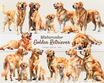 Watercolor Golden Retriever Clipart - Digital Illustration - Puppy Dog PNG - Commercial Use