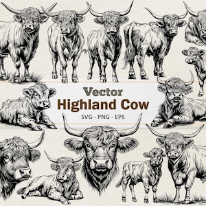 Vector Highland Cow Clipart - Ilustração digital de arte de linha Vaca - Gado das Terras Altas SVG PNG EPS - Uso comercial