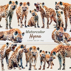 Watercolor Hyena Clipart - Digital Illustration Baby Hyenas - Spotted Hyena PNG - Commercial Use