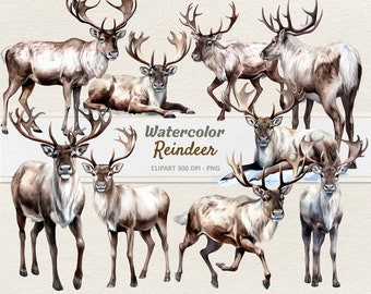 Acuarela Reno Clipart - Ilustración Digital - Caribou Deer PNG - Uso Comercial