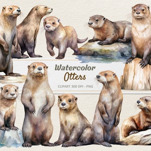 Akwarela Wydra Clipart - Cyfrowa Ilustracja - Małe Wydry PNG - Użytek Komercyjny