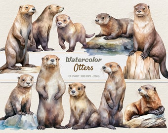 Watercolor Otter Clipart - Digital Illustration - Baby Otters PNG - Commercial Use