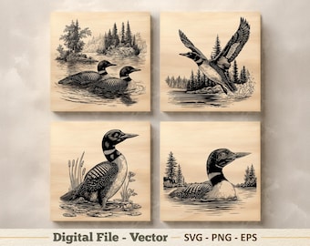 Loon vectorillustratie SVG – Common Loon Line Art PNG – lasergravure clipart – digitale download