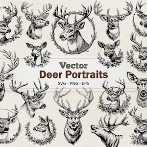 Vector Deer Portraits Clipart - Line Art Digital Illustration - Buck Fawn SVG PNG EPS - Commercial Use