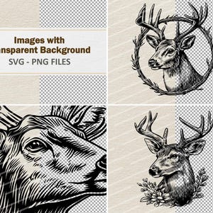 Vector Deer Portraits Clipart - Line Art Digital Illustration - Buck ...