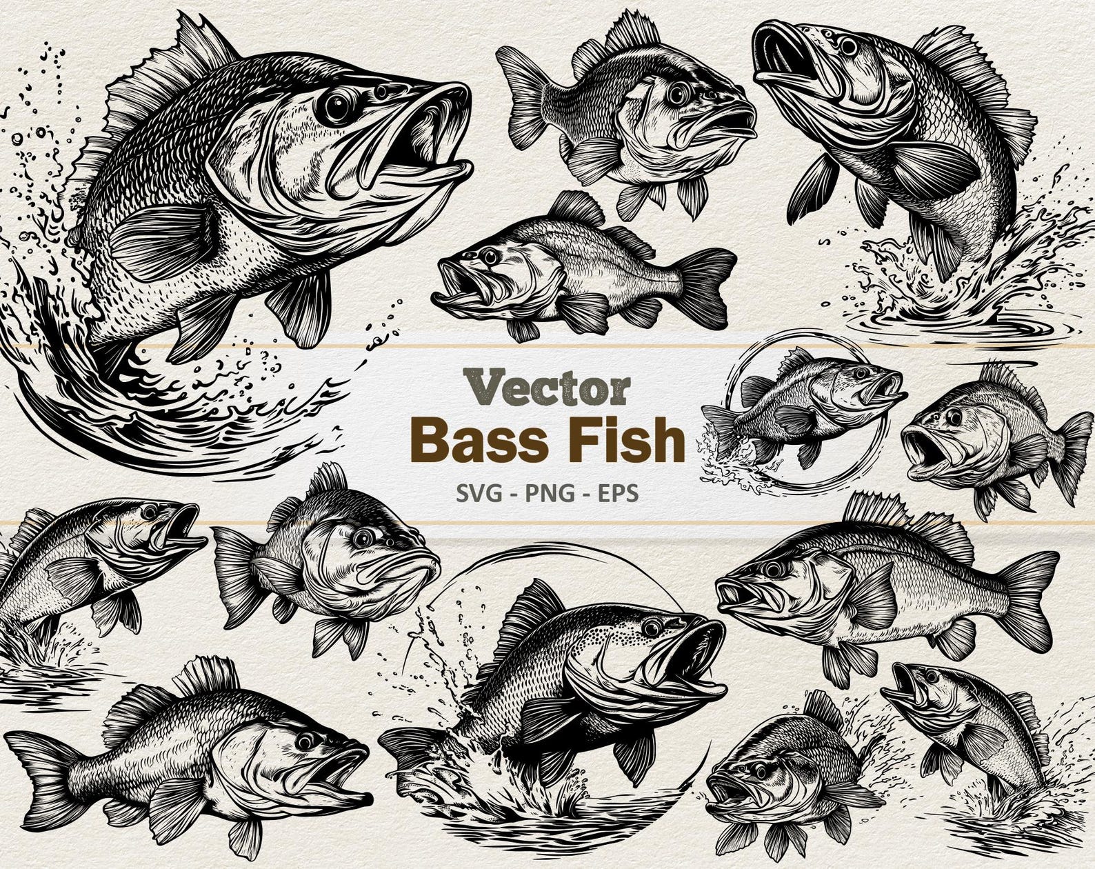 Vector Bass Fish Clipart - Line Art Digital Illustration - Largemouth ...