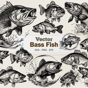 Clipart poisson achigan vectoriel - Illustration numérique de dessin au trait - achigan à grande bouche pêche SVG PNG EPS - usage commercial