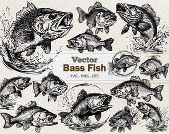 Clipart de peixe robalo vetorial - Ilustração digital de arte linear - Robalo SVG PNG - Uso comercial