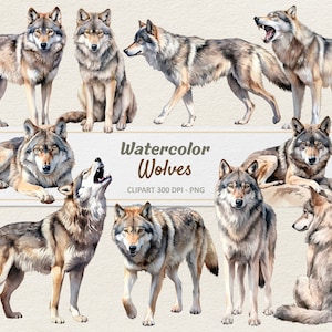 Aquarel wolf clipart-digitale afbeelding wolven-wolf PNG-commercieel gebruik