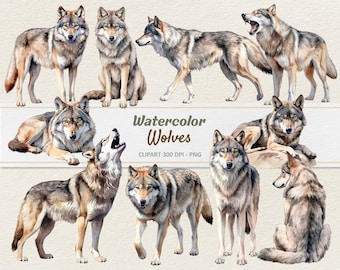 Ilustración digital de lobo en acuarela - Imágenes prediseñadas de lobo - Lobo PNG - Uso comercial