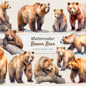 Acuarela Oso Clipart - Ilustración Digital - Oso Pardo PNG - Uso Comercial