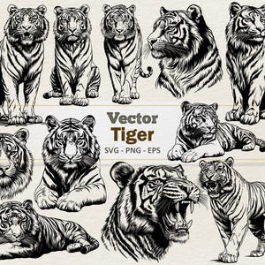 Tiger Clipart - Linie Kunst Digitale Illustration - Tiger SVG PNG EPS - Kommerzielle Nutzung