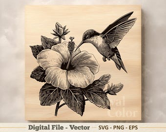 Illustration vectorielle de colibri SVG - dessin au trait colibri oiseau PNG - Clipart de gravure laser - téléchargement numérique