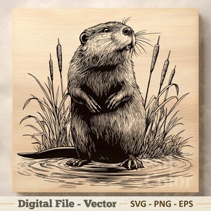 May include: A black and white line art illustration of a beaver standing in water, surrounded by cattails. The design is presented on a light wood grain background. Below the image, the text reads Digital File - Vector SVG - PNG - EPS.