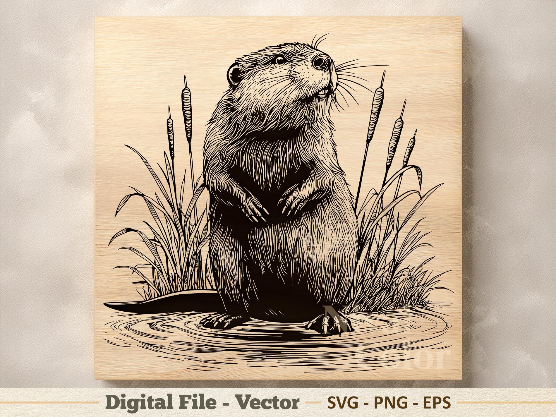 Beaver Vector Illustration SVG – River Beaver Line Art PNG - Laser ...