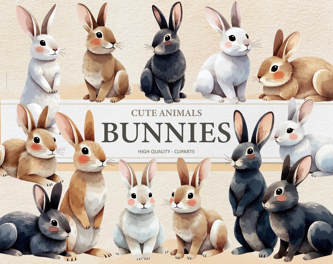 Cute Bunny Nursery Clipart - Digital Illustration Bunnies - Rabbit ...