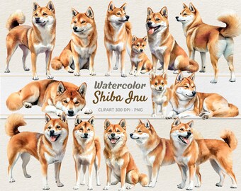 水彩柴犬クリップアート - デジタルイラストDoge - 子犬柴犬PNG - 商用利用