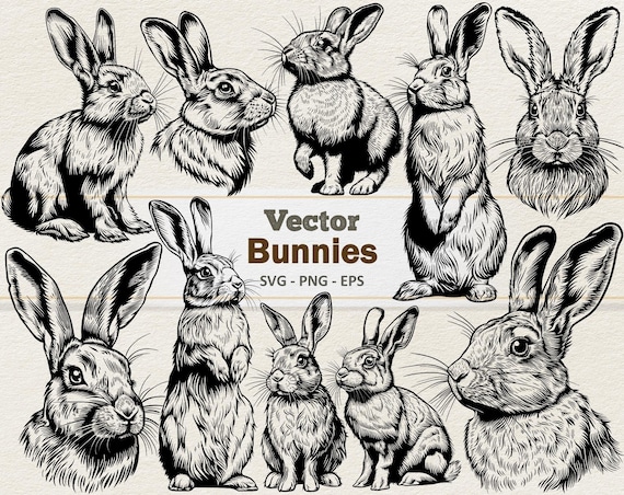 Vector Bunnies Clipart - Line Art Digital Illustration - Bunny Rabbit SVG PNG EPS - Commercial Use