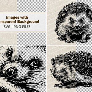 May include: A collection of black and white hedgehog illustrations. The images showcase detailed line art of hedgehogs in various poses, with a transparent background. Text at the top reads "Images with Transparent Background SVG - PNG FILES".