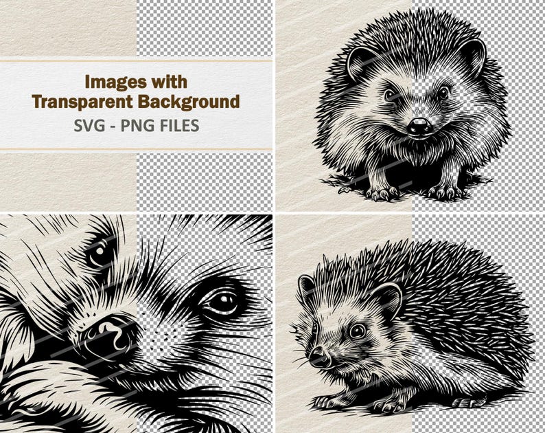 May include: A collection of black and white hedgehog illustrations. The images showcase detailed line art of hedgehogs in various poses, with a transparent background. Text at the top reads "Images with Transparent Background SVG - PNG FILES".
