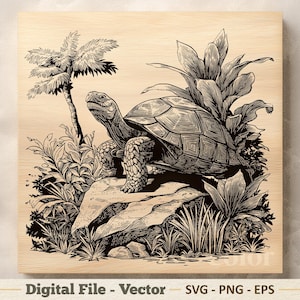 Sköldpadda vektorillustration SVG – Tropisk sköldpadda linjeteckning PNG - Lasergravyr Clipart – Digital nedladdning