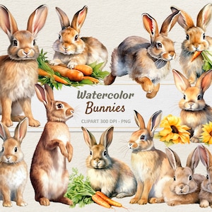 Watercolor Bunnies Clipart V2 - Digital Illustration Bunny - Rabbit PNG - Commercial Use