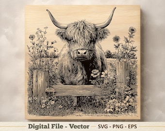 Hooglandvee vectorillustratie SVG – koe lijntekeningen png – lasergravure clipart – digitale download