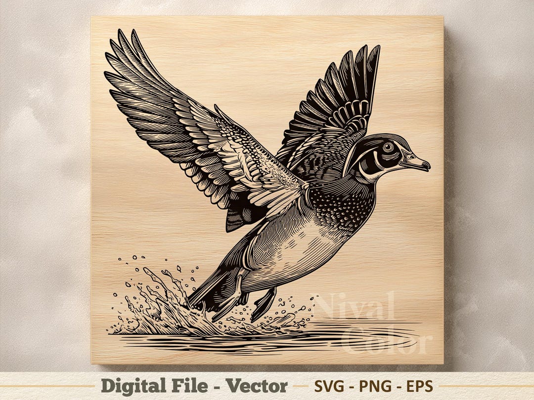 Wood Duck Vector Illustration SVG – Carolina Duck Line Art PNG - Laser ...