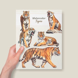 Puede incluir: Pintura de acuarela de cinco tigres en diferentes poses. Los tigres son de color naranja y negro con rayas blancas. El texto "Watercolor Tigers" est&aacute; escrito en la parte superior central de la imagen.