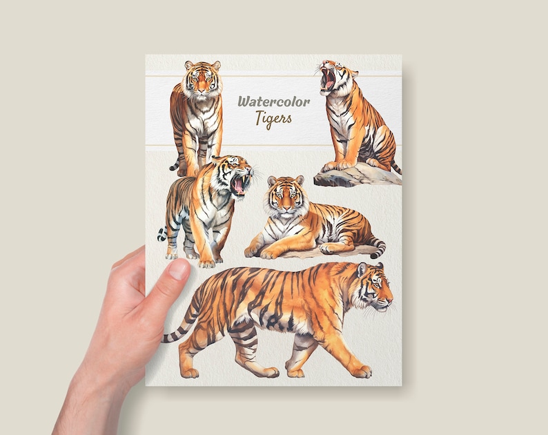 Puede incluir: Pintura de acuarela de cinco tigres en diferentes poses. Los tigres son de color naranja y negro con rayas blancas. El texto "Watercolor Tigers" est&aacute; escrito en la parte superior central de la imagen.