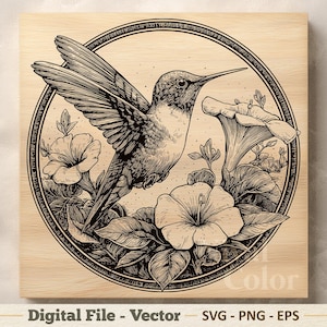 Hummingbird Vector Illustration SVG – Floral Bird Line Art PNG - Laser Engraving Clipart – Digital Download