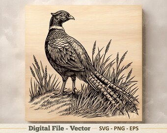 Ilustração vetorial de faisão em SVG – Arte linear de ave de caça em PNG – Clipart para gravação a laser – Download digital
