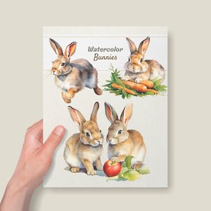 Watercolor Bunnies Clipart V2 - Digital Illustration Bunny - Rabbit PNG ...