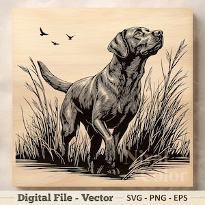 Op de afbeelding: Zwart-wit illustratie van een Labrador Retriever in hoog gras, omhoog kijkend. Drie vogels vliegen boven de hond. De tekst "Digital File - Vector" staat onderaan.