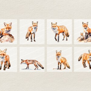 Puede incluir: Una colecci&oacute;n de ocho acuarelas que representan zorros rojos en varias poses. Los zorros se representan en un estilo realista con pelaje y expresiones faciales detalladas.