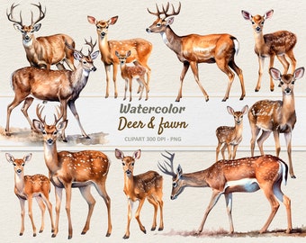 Clipart aquarel herten en ree - digitale afbeelding - herten png - commercieel gebruik