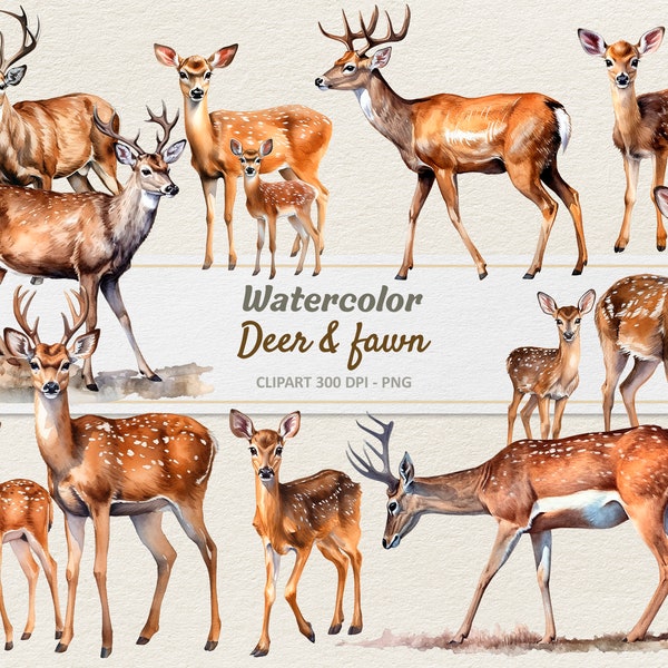 Watercolor Deer and Fawn Clipart - Digital Illustration - Deer Doe PNG - Commercial Use