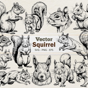 May include: A collection of black and white vector illustrations of squirrels in various poses. The images include squirrels standing, running, and eating, with detailed linework and shading. Text in the image reads "Vector Squirrel SVG - PNG - EPS."