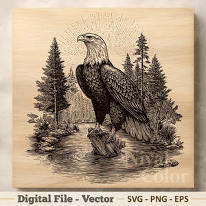 May include: Black and white illustration of a bald eagle perched on a tree stump in a river, with a forest backdrop and a sunburst design above. The image is on a light wood-grain background.