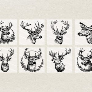 Vector Deer Portraits Clipart - Line Art Digital Illustration - Buck ...