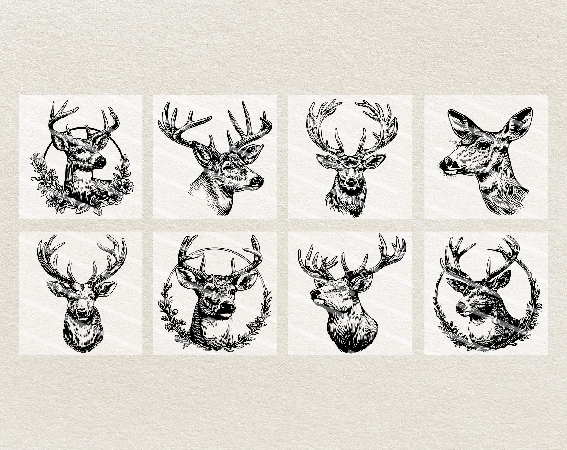 Vector Deer Portraits Clipart - Line Art Digital Illustration - Buck ...