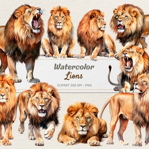 Aquarelle Lions Clipart - Illustration numérique - Lion PNG - usage Commercial