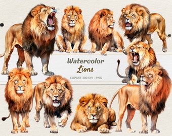Watercolor Lions Clipart - Digital Illustration - Lion PNG - Commercial Use
