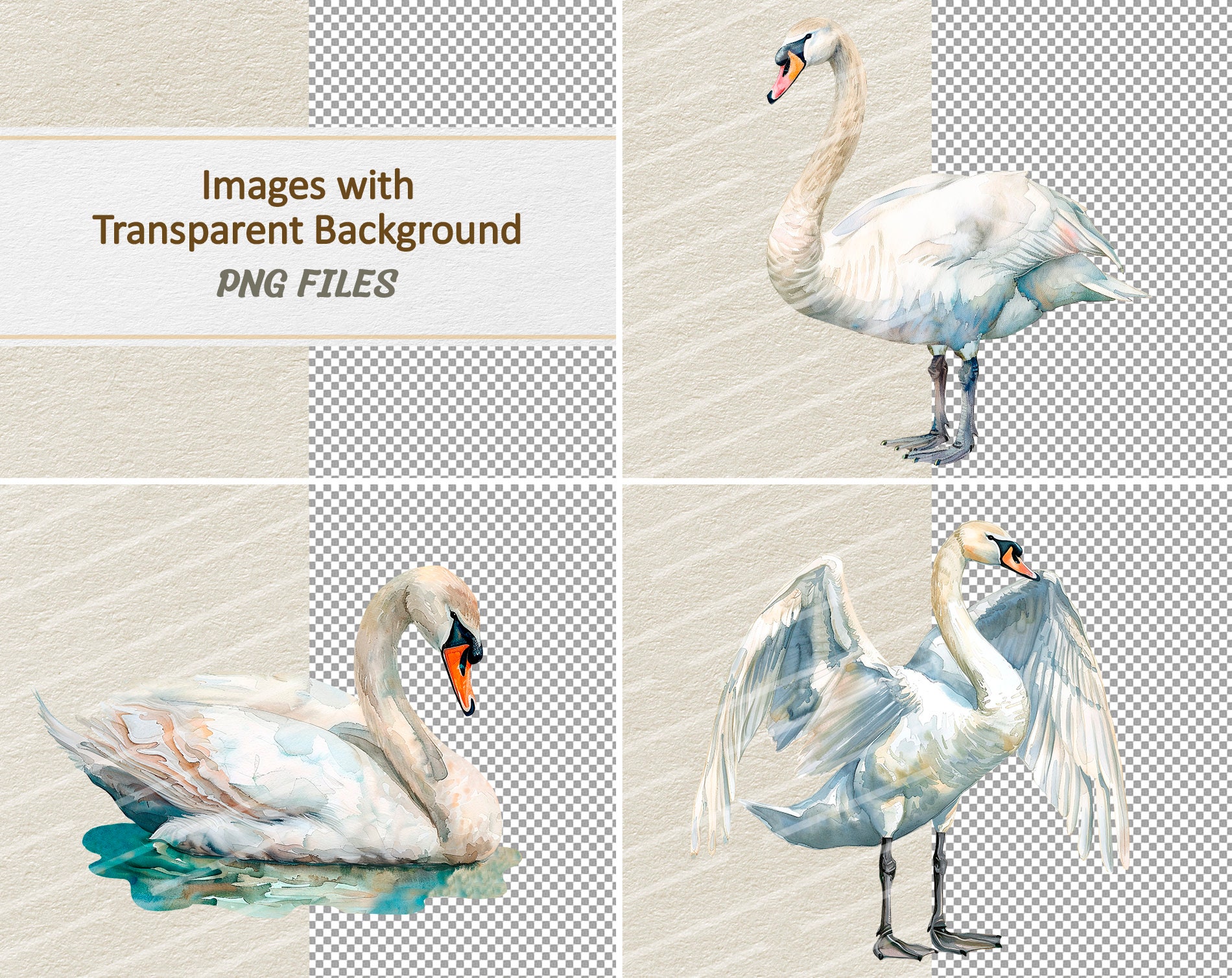 Watercolor Swan Clipart - Digital Illustration Swans - PNG - Commercial ...