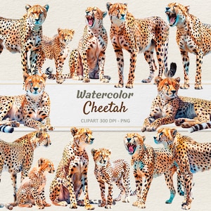 Akwarela Cheetah Clipart - Cyfrowa ilustracja - Baby Cheetah PNG - Komercyjne wykorzystanie