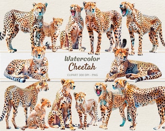 Aquarelle guépard Clipart - Illustration numérique - bébé guépard PNG - usage Commercial