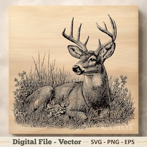 Deer Vector Illustration SVG – Woodland Buck Line Art PNG EPS - Laser Engraving Cutting Boards - Sublimination Clipart – Digital Download