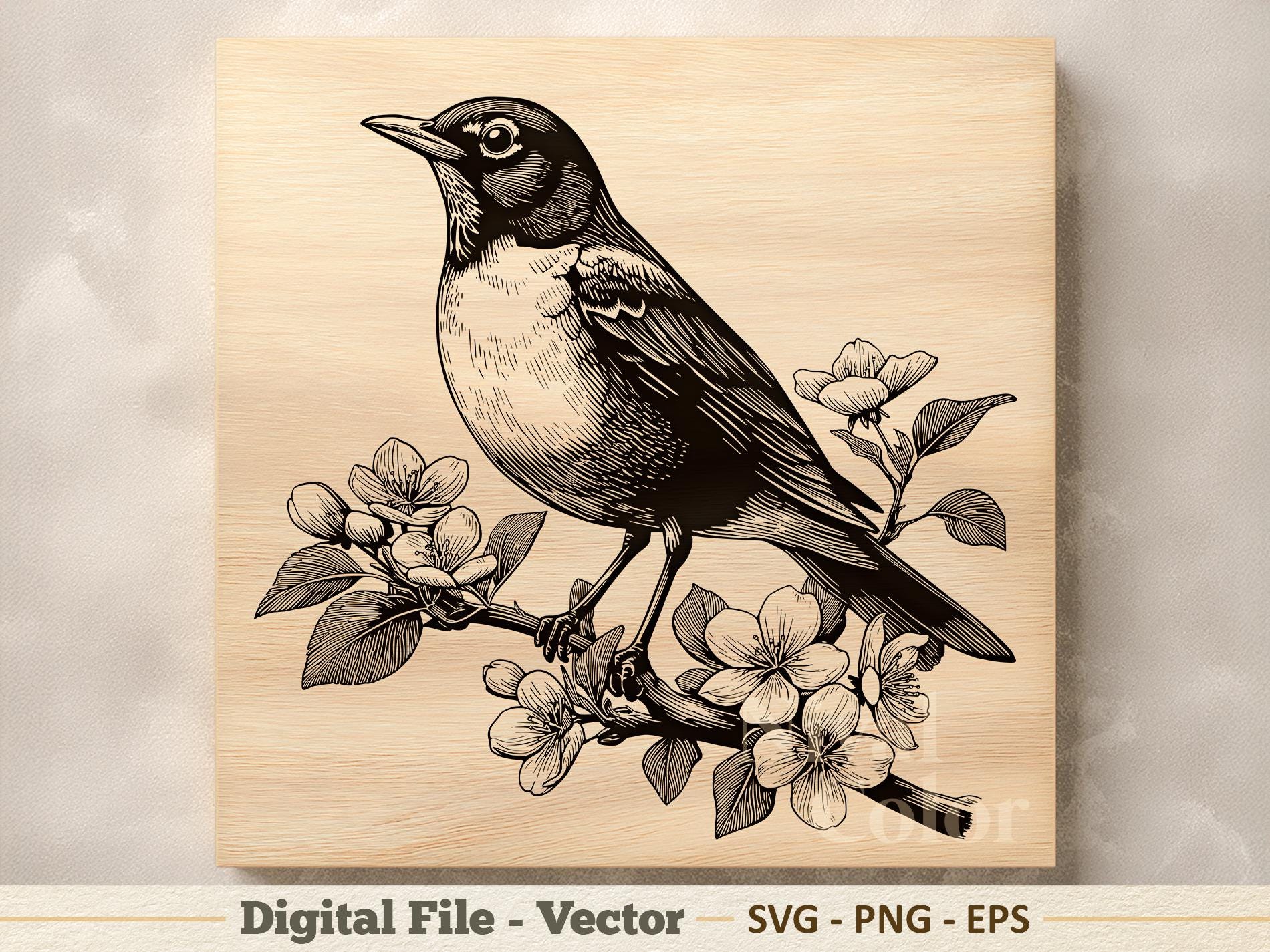 Robin Line Vector American Robin Vector Illustration SVG – Bird Line Art PNG - Laser ...