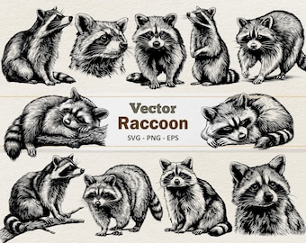 Clipart de mapache vectorial - Ilustración digital de arte lineal - Animal del bosque SVG PNG EPS - Uso comercial